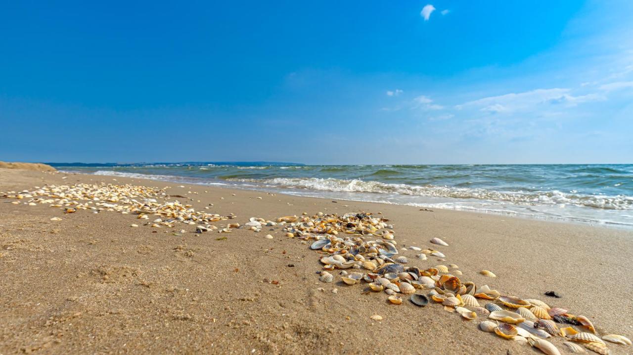 Ferienwohnung Strandurlaub Rügen Lütt Matten Ostseebad Ostseebad Binz Exterior foto